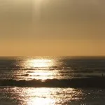 ZON0009