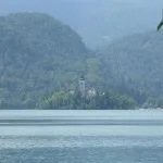 BLED002