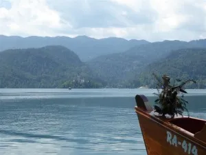 BLED004