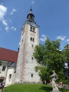 BLED019