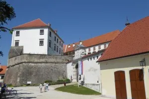 PTUJ001